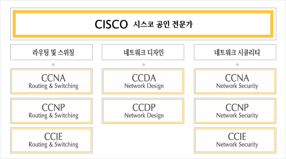 CCNA자격증 : 네트워크 취직과 향후 방향성 설정